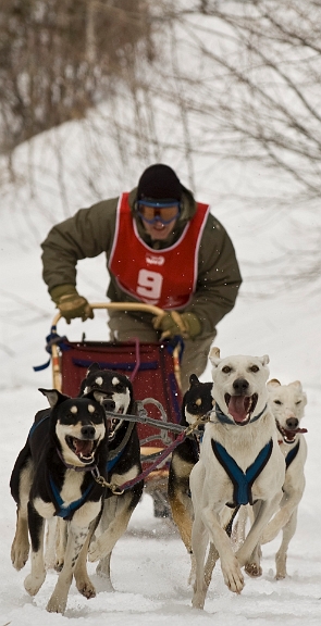 2009-03-14, Competition de traineaux a chiens au Bec-scie (131931).jpg - Dans le parcours